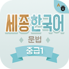 Sejong Korean Grammar -  Intermediate1 ikon