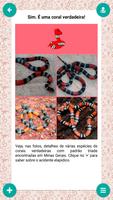 Serpentes de Minas Gerais capture d'écran 1