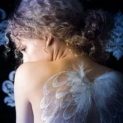 Скачать Angel Feather Oracle Cards APK