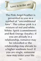 Angel Feather Oracle Cards APK download