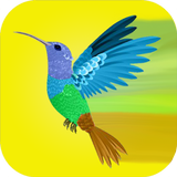 PuzzleMation Puzzle games for kids APK