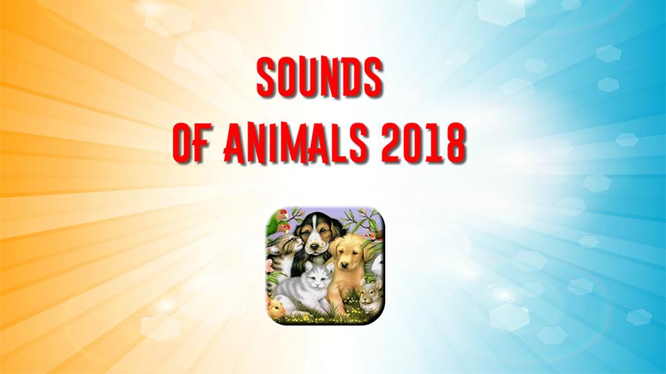 Animal 2018
