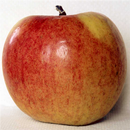 Apple Jigsaw Puzzle APK