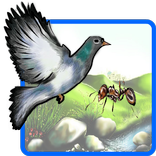 جزاء الإحسان