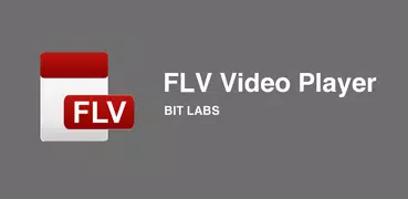 FLV Video Player