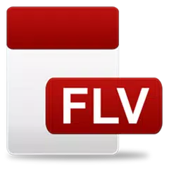 FLV視頻播放器 APK 下載