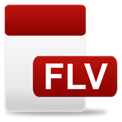 FLV Video Player