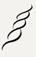 3 Schermata Calligrafia HD