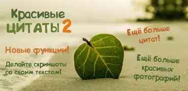 Красивые цитаты и фразы 2