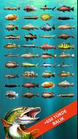 Let's Fish: Balık Oyunları Ekran Görüntüsü 2