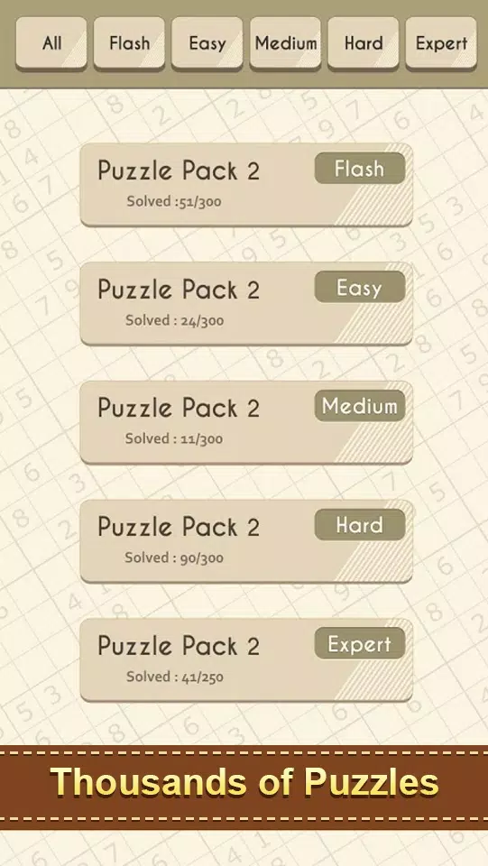 Sudoku Numbers Puzzle