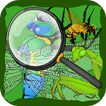 Hidden Insects icon