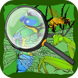 隱藏嘅昆蟲 APK