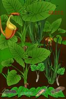 Hidden Insects poster