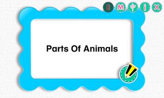 Picture Dictionary - Animals ポスター