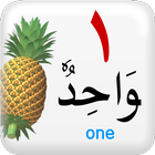 آیکون‌ Learn Arabic 1