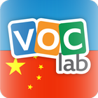 Learn Chinese Flashcards icon
