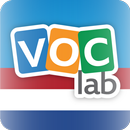 Learn Dutch Flashcards APK