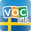 Learn Swedish Flashcards APK