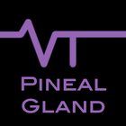 VT Brainwaves Pineal Gland simgesi