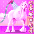 PHC Braided Hair Wedding APK