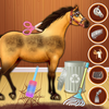 Princess Horse Caring 2 icône