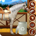 Princess Horse Caring 2