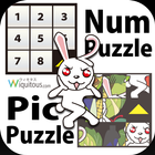 NumPuzzleAndPicPuzzleF icône