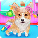 Cute Corgis Caring and Dressup APK