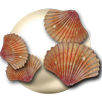 Free the Pearl APK