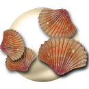 Free the Pearl APK