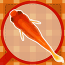 Goldfish scooping festival APK