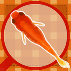 Goldfish scooping festival icon