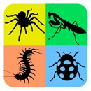 Insects Life Cycle Free APK