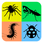 Insects Life Cycle Free icon