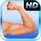Bíceps y Tríceps Fitness icono