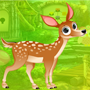 Kavi Escape Game 598 Gorgeous  APK