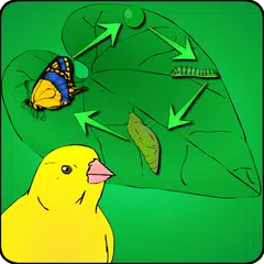 Grow A Butterfly APK download