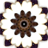 Intuitive Mandala Oracle Cards APK