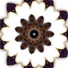Intuitive Mandala icono