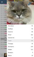 7 небо الملصق