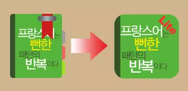 프랑스어는 뻔한 패턴의 반복이다. Lite