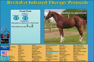 RevitaVet Therapeutic Systems: Usage Guide पोस्टर