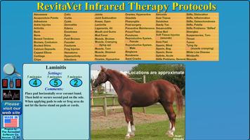 RevitaVet Infrared Therapy 포스터