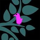 Words for a bird APK