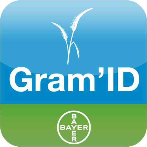 Gram'ID