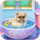 beautiful caring dog game biểu tượng