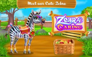 Zebra Caring Affiche