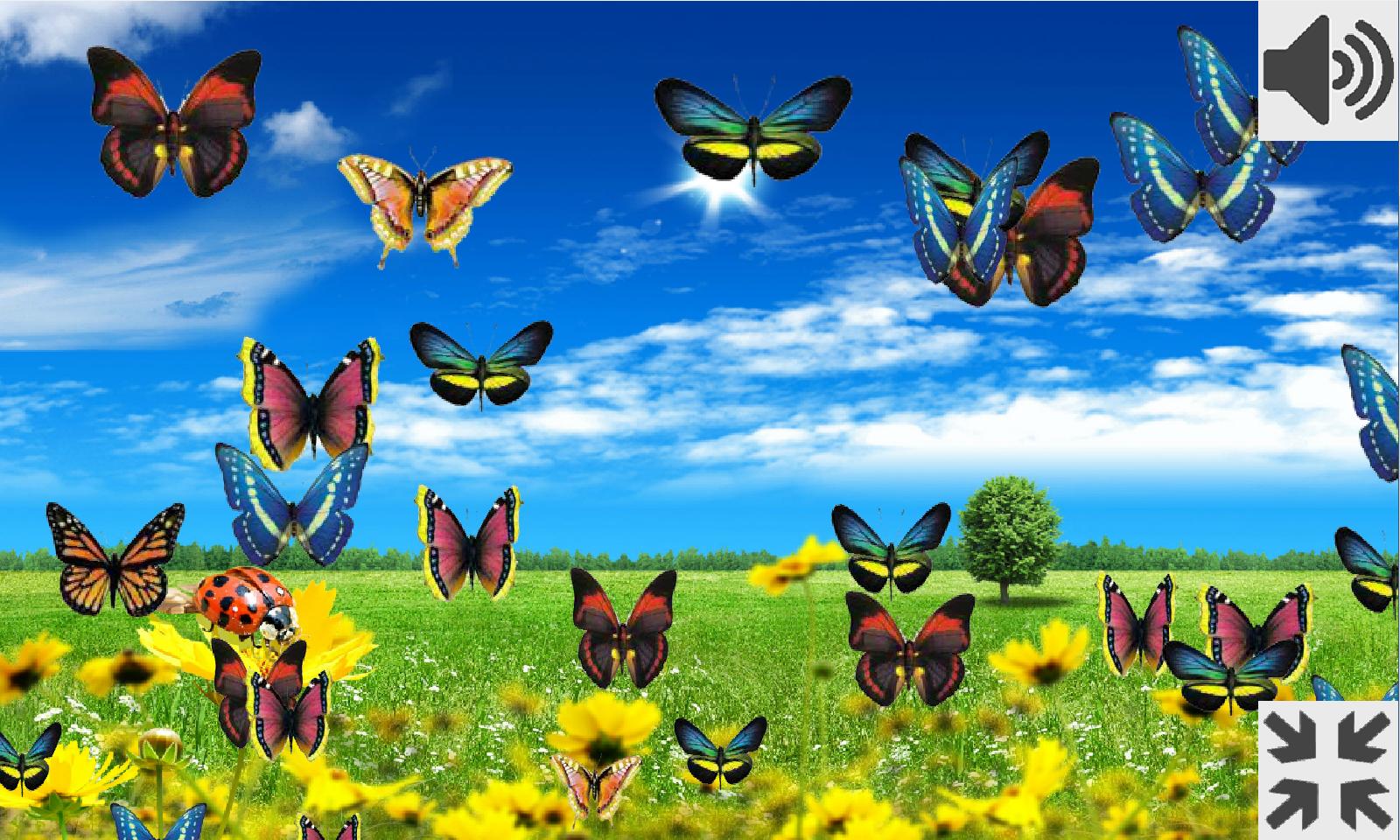 Про лета бабочка. Игра бабочки летают. Игра цветы и бабочки. Июнь бабочки летают. Игра Баттерфляй бабочки.