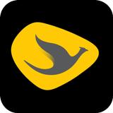 Cititrans APK